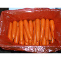 2021 New Harvest Fresh Natural Carrots Export Chinese Fresh Carrot